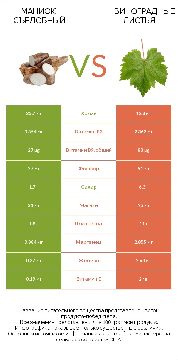 Маниок съедобный vs Виноградные листья infographic