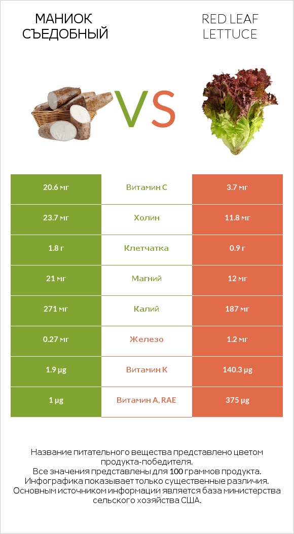 Маниок съедобный vs Red leaf lettuce infographic