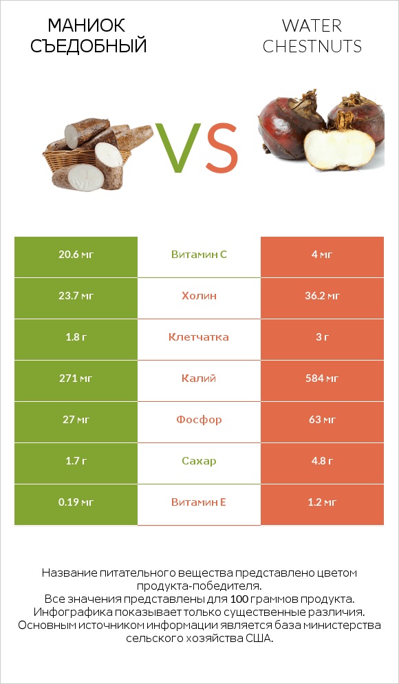 Маниок съедобный vs Water chestnuts infographic