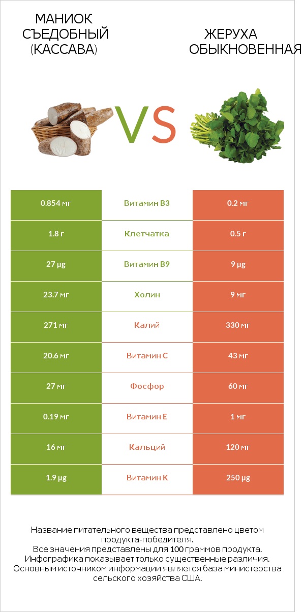 Маниок съедобный (кассава) vs Жеруха обыкновенная infographic