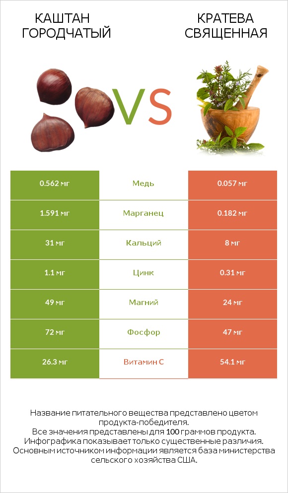 Каштан городчатый vs Кратева священная infographic