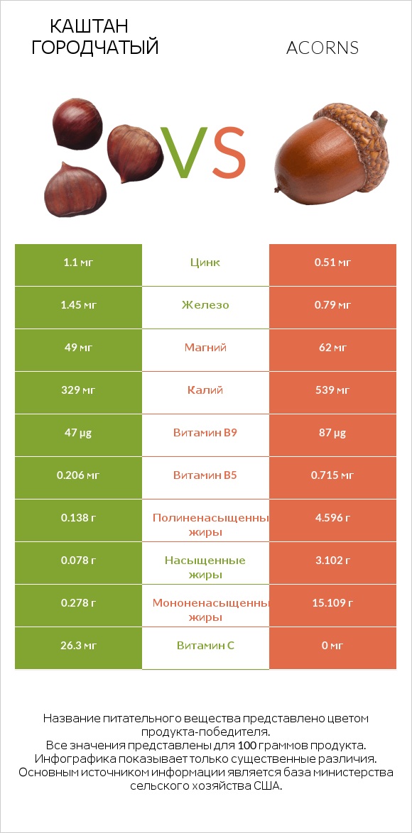 Каштан городчатый vs Acorns infographic