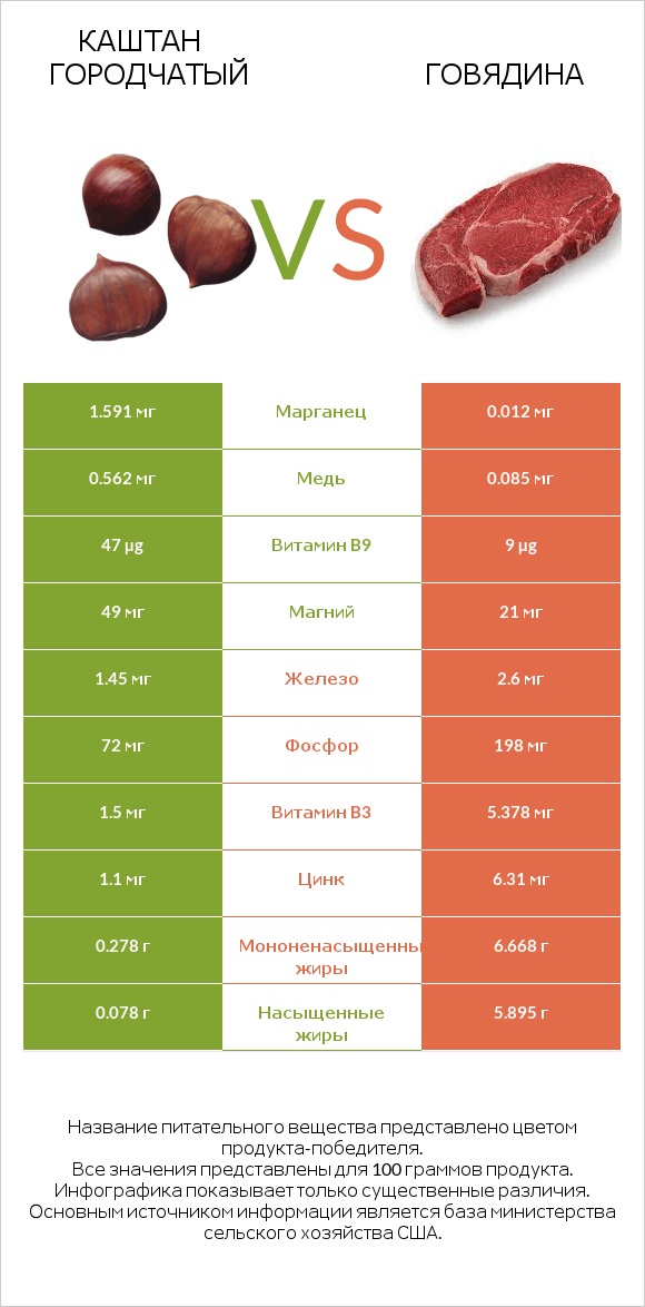Каштан городчатый vs Говядина infographic