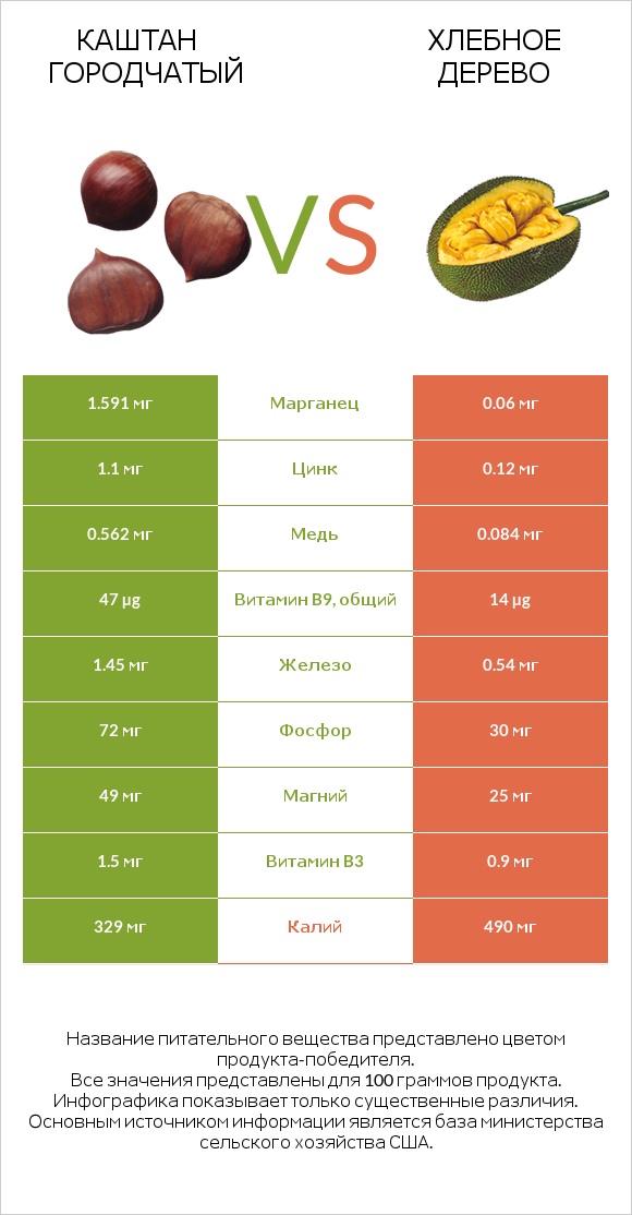Каштан городчатый vs Хлебное дерево infographic