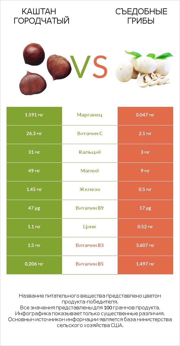 Каштан городчатый vs Съедобные грибы infographic