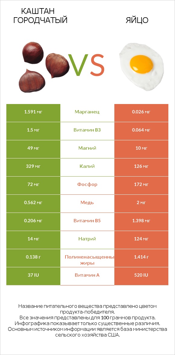 Каштан городчатый vs Яйцо infographic