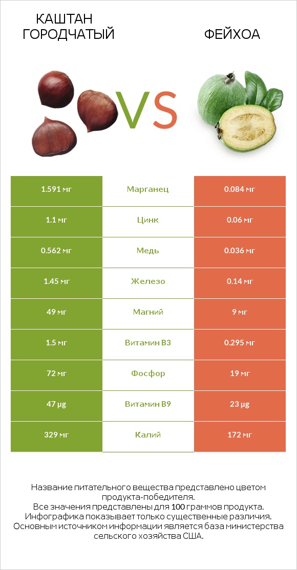 Каштан городчатый vs Фейхоа infographic