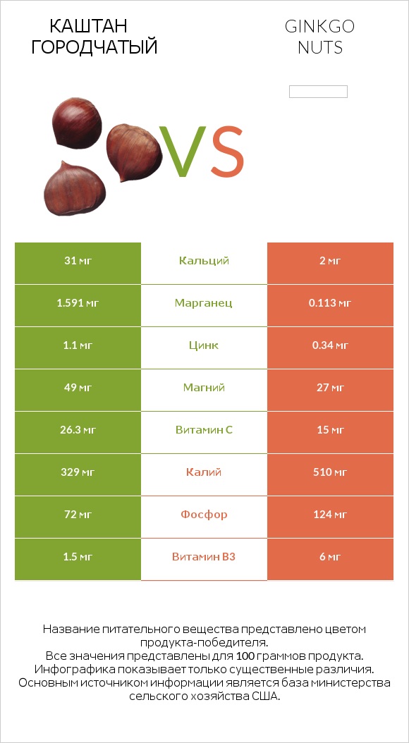 Каштан городчатый vs Ginkgo nuts infographic