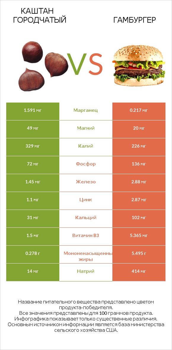Каштан городчатый vs Гамбургер infographic