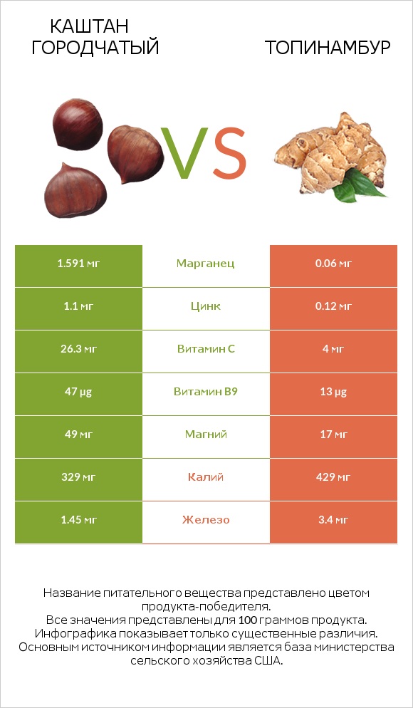 Каштан городчатый vs Топинамбур infographic