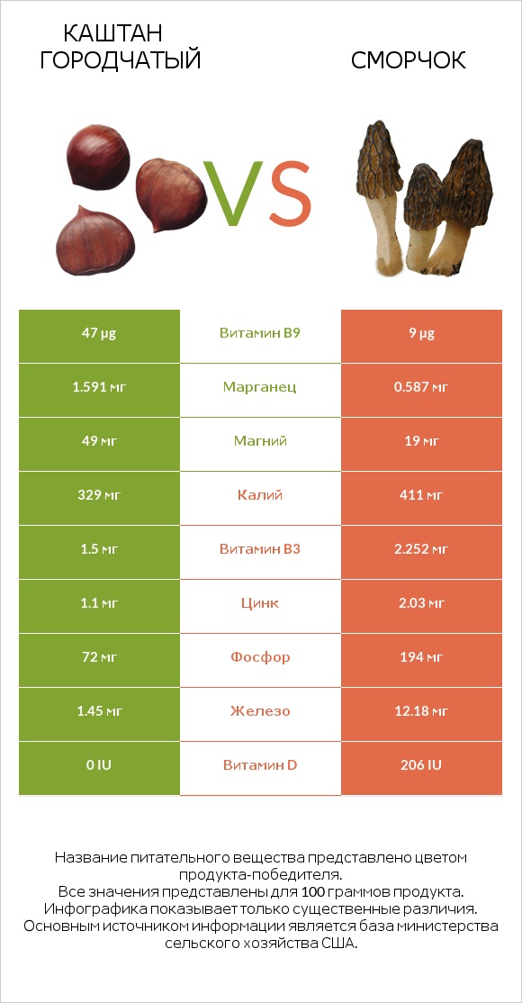 Каштан городчатый vs Сморчок infographic