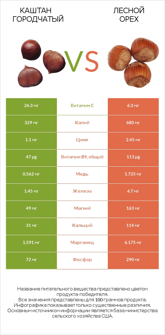 Каштан городчатый vs Лесной орех infographic