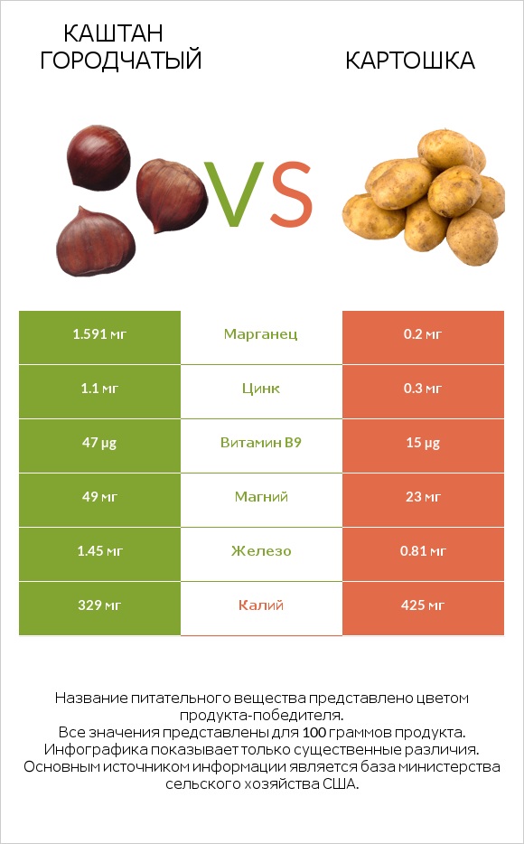 Каштан городчатый vs Картошка infographic