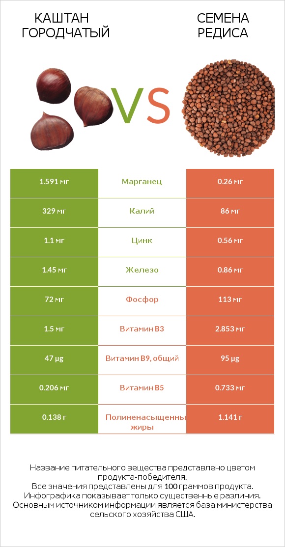 Каштан городчатый vs Семена редиса infographic