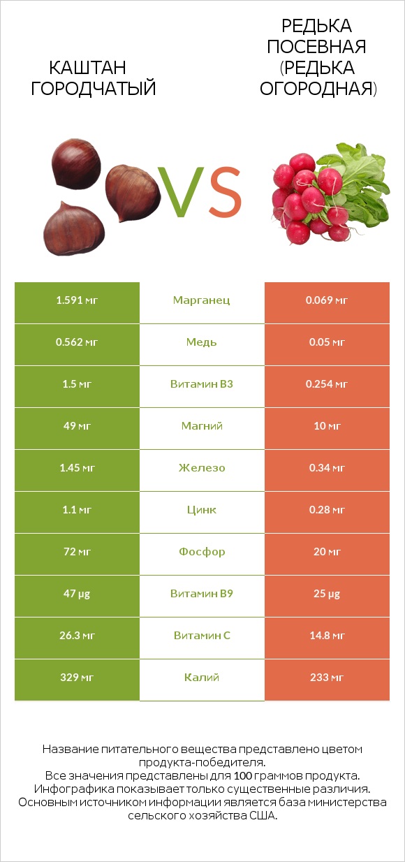 Каштан городчатый vs Редька посевная (Редька огородная) infographic