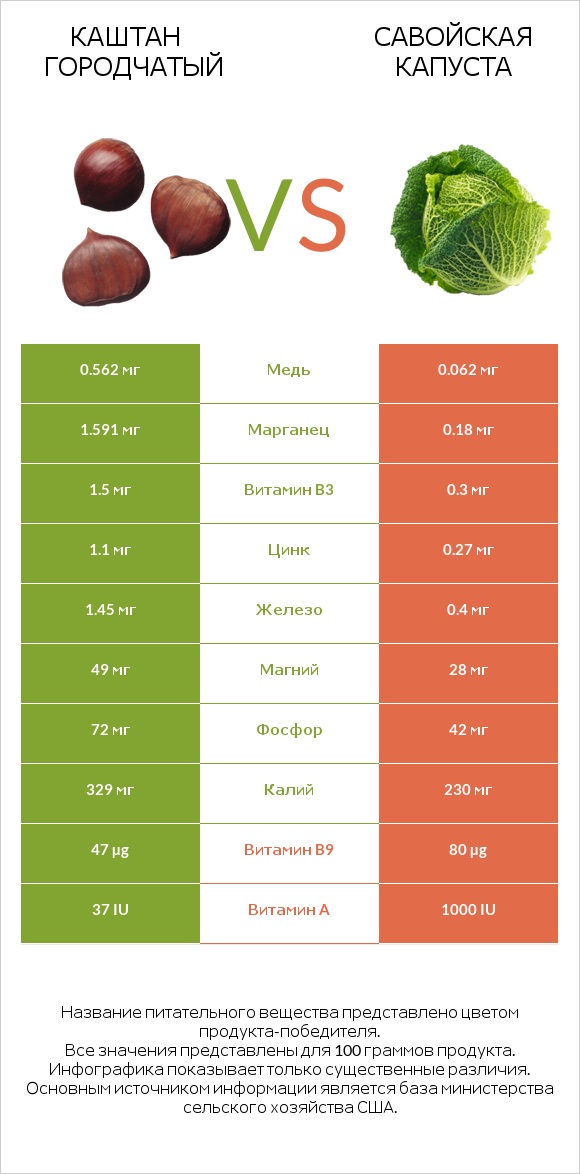 Каштан городчатый vs Савойская капуста infographic