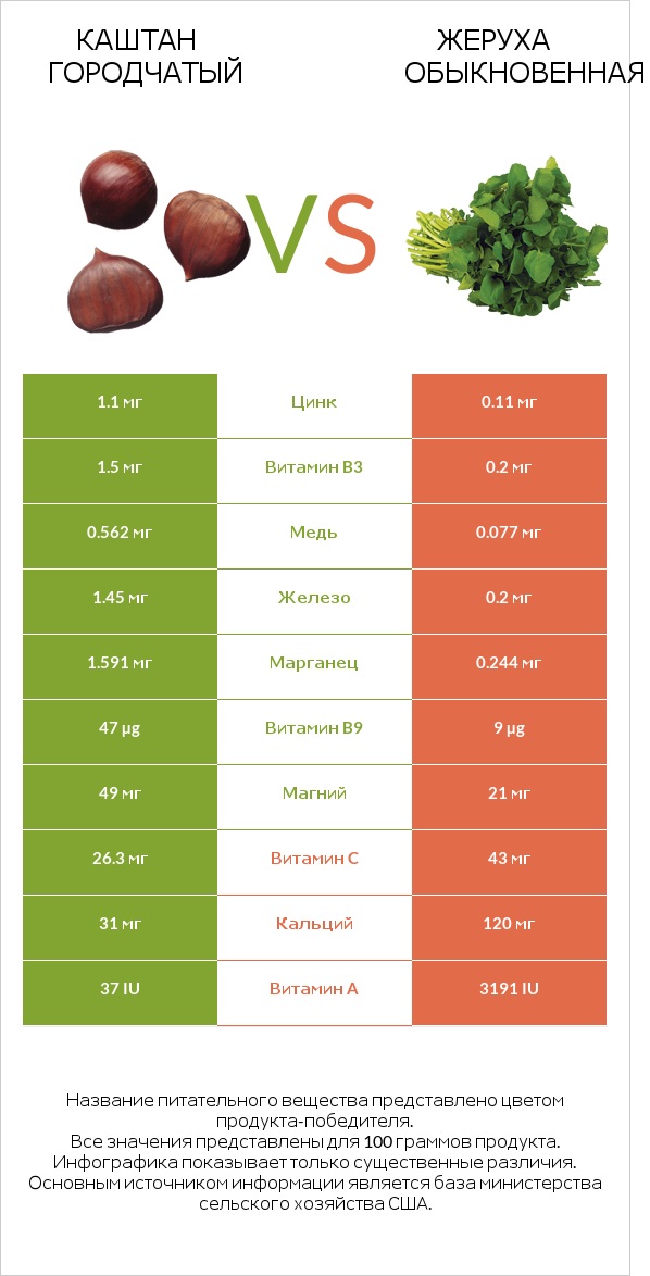 Каштан городчатый vs Жеруха обыкновенная infographic