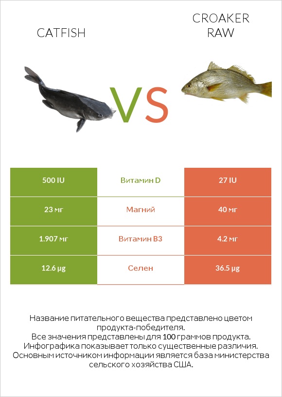 Catfish vs Croaker raw infographic