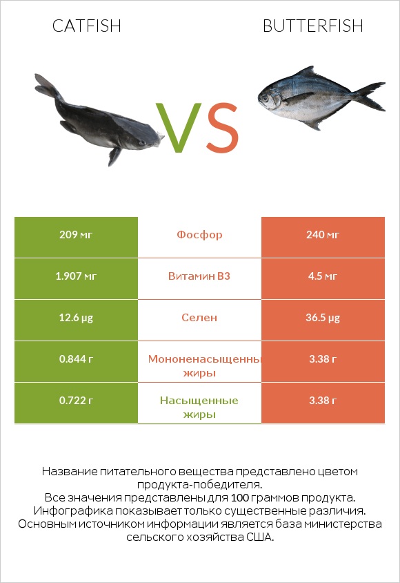 Catfish vs Butterfish infographic