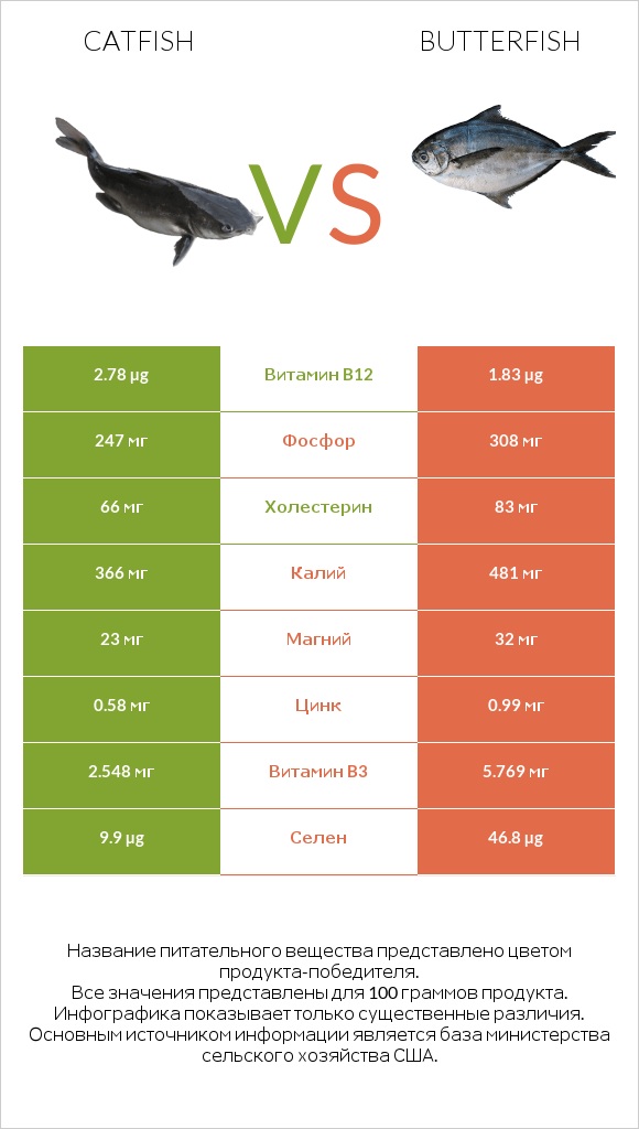 Catfish vs Butterfish infographic