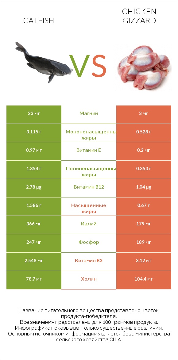 Catfish vs Chicken gizzard infographic