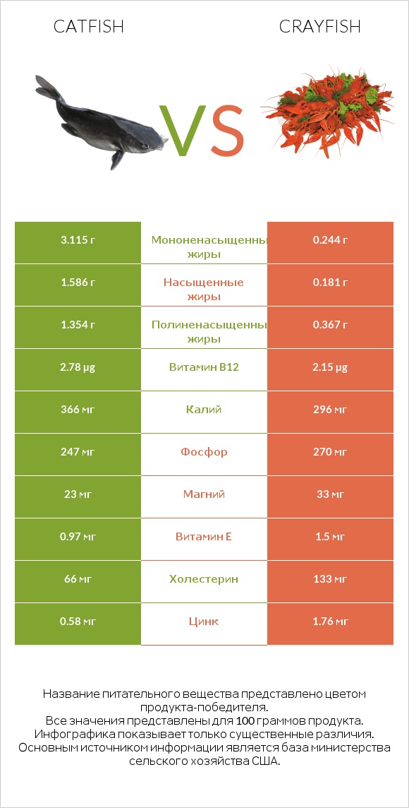 Catfish vs Crayfish infographic