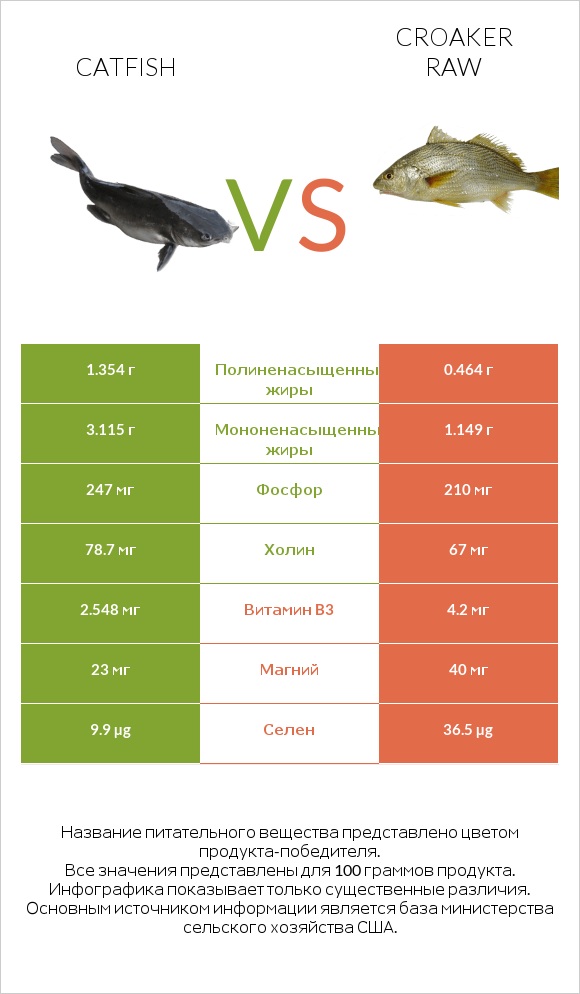 Catfish vs Croaker raw infographic