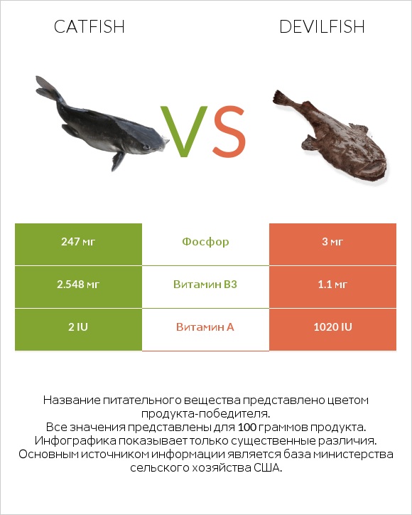 Catfish vs Devilfish infographic