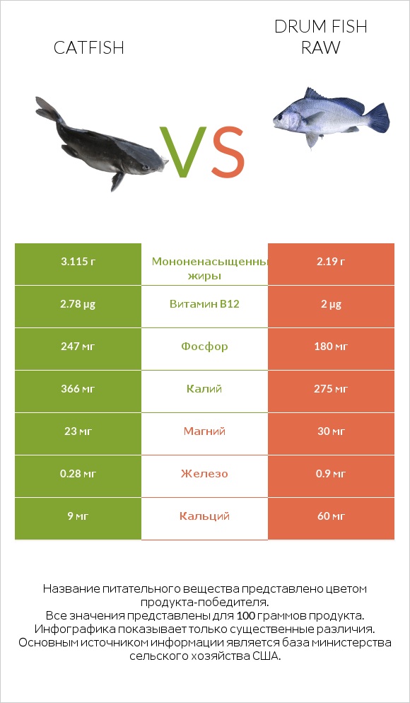 Catfish vs Drum fish raw infographic