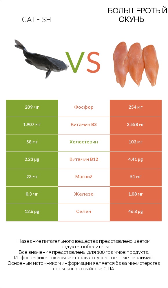 Catfish vs Большеротый окунь infographic