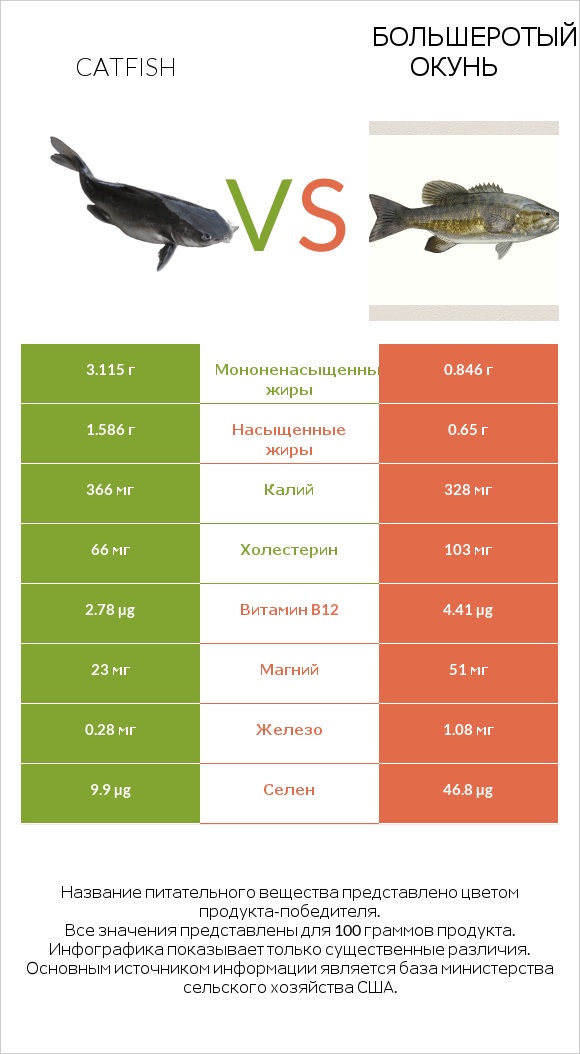 Catfish vs Большеротый окунь infographic