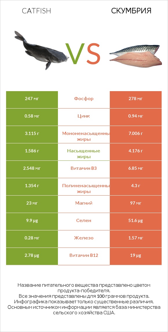 Catfish vs Скумбрия infographic