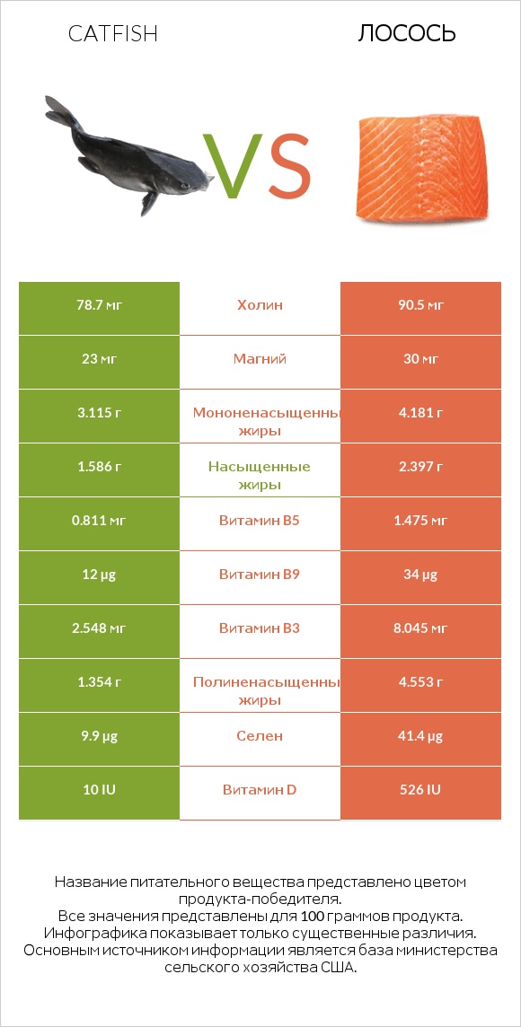 Catfish vs Лосось infographic