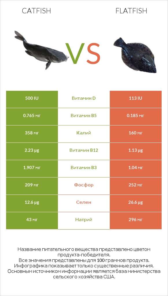 Catfish vs Flatfish infographic