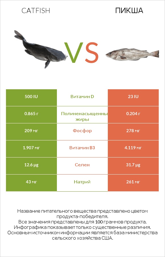 Catfish vs Пикша infographic