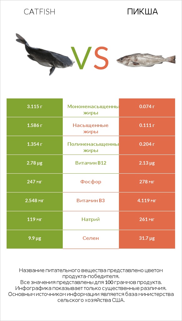 Catfish vs Пикша infographic