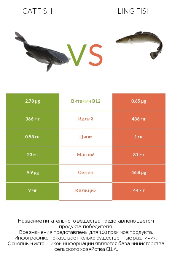 Catfish vs Ling fish infographic