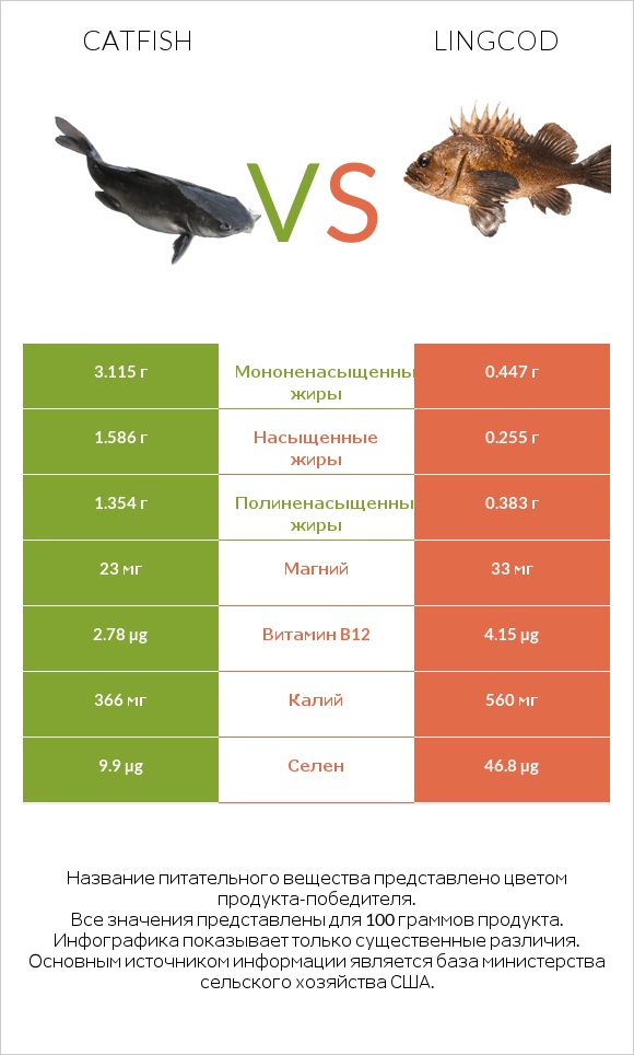 Catfish vs Lingcod infographic