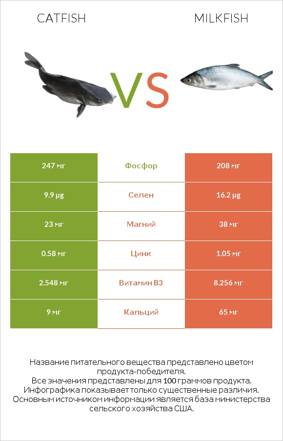 Catfish vs Milkfish infographic