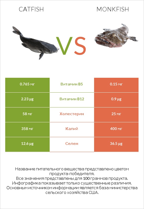 Catfish vs Monkfish infographic