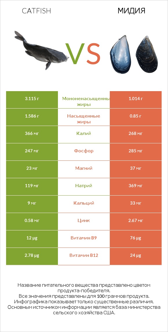 Catfish vs Мидия infographic