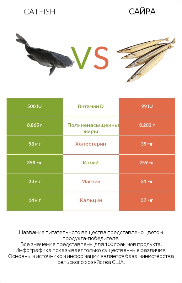 Catfish vs Сайра infographic