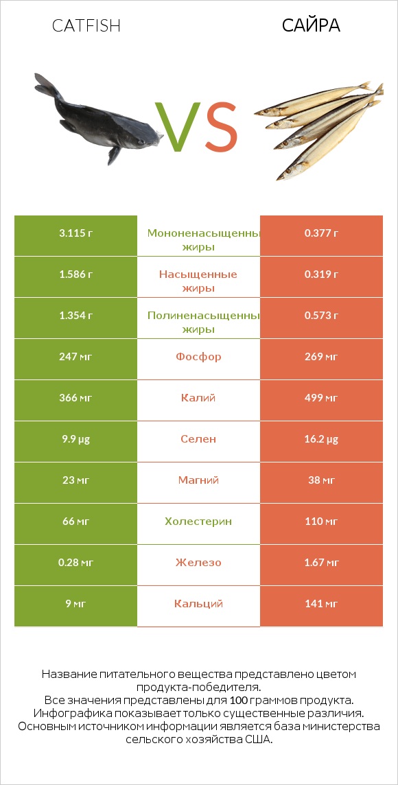 Catfish vs Сайра infographic