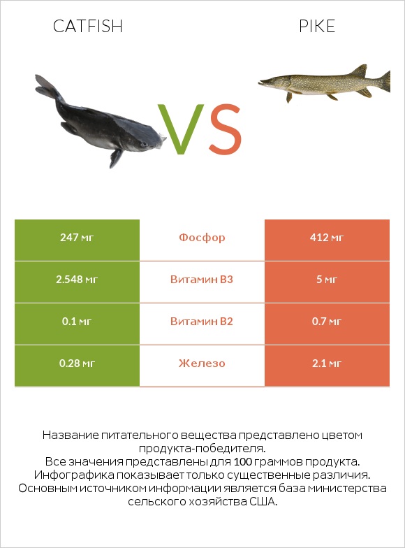 Catfish vs Pike infographic