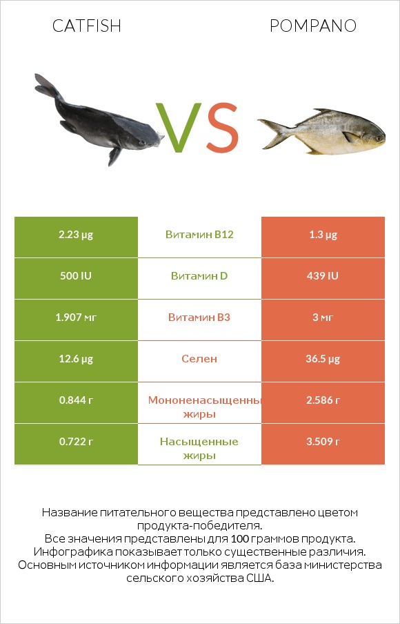 Catfish vs Pompano infographic