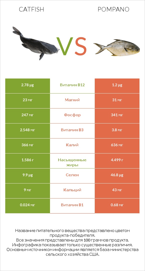 Catfish vs Pompano infographic