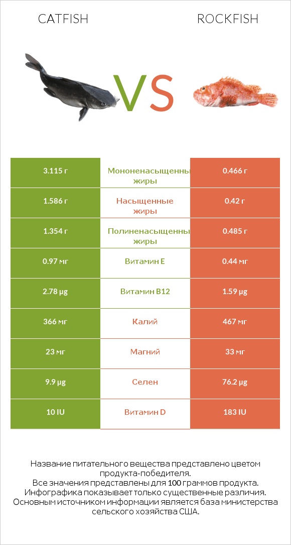 Catfish vs Rockfish infographic