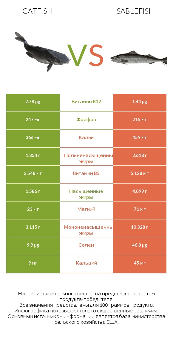 Catfish vs Sablefish infographic