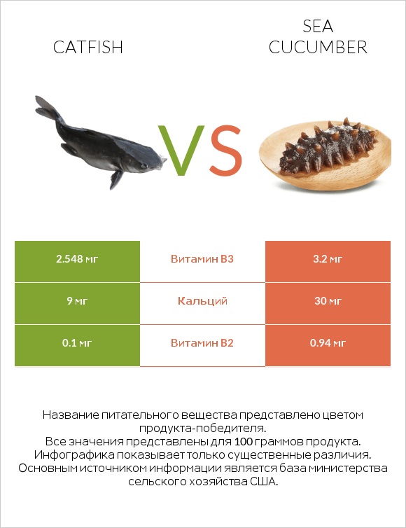 Catfish vs Sea cucumber infographic