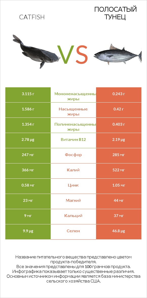 Catfish vs Полосатый тунец infographic